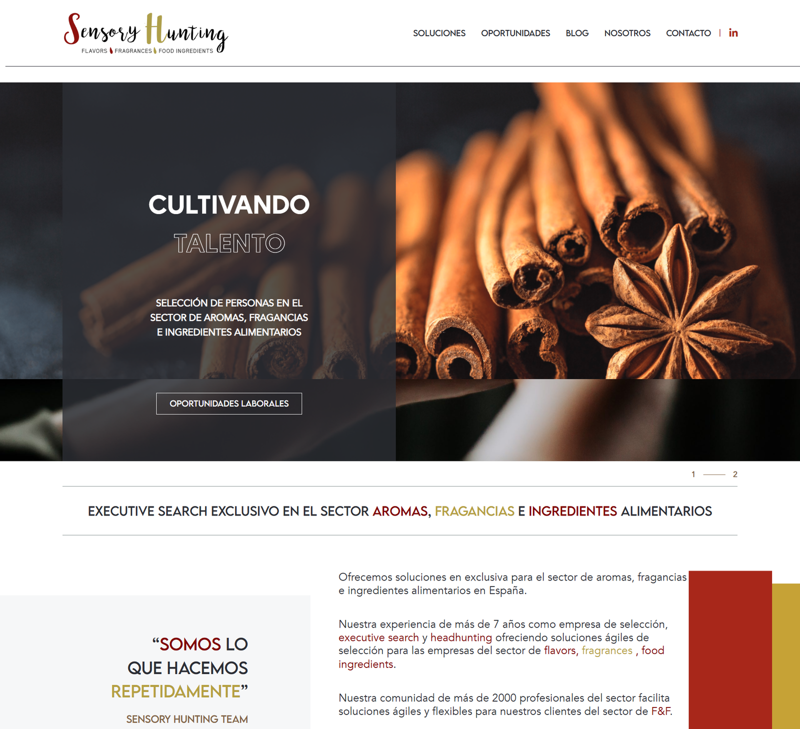 sensoryhunting_corpo